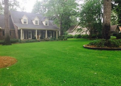 Lawn Spray Program